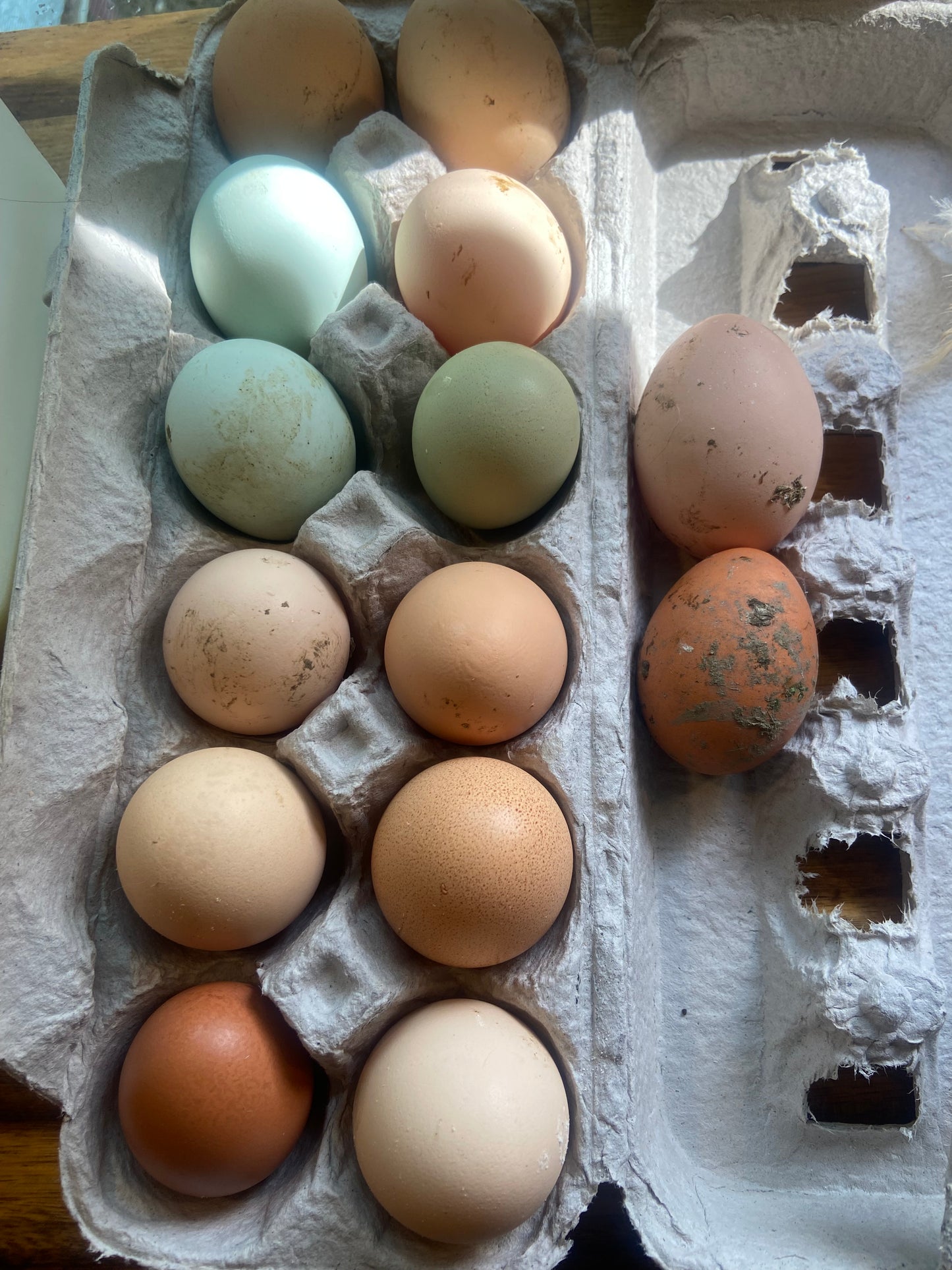 Organic Soy Free Chicken Eggs