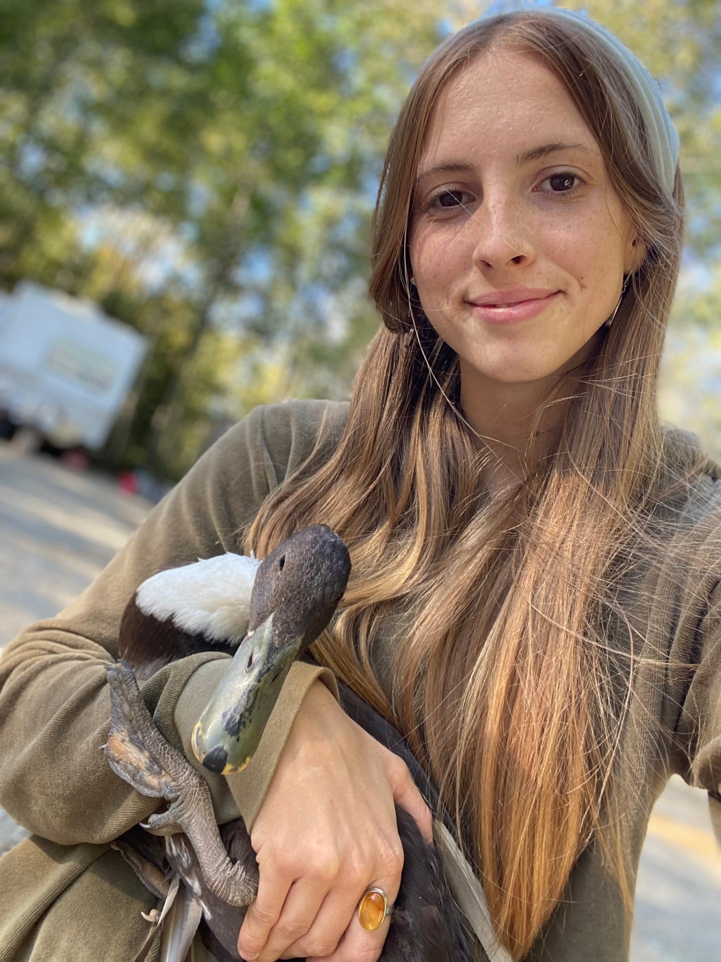 WAITLIST: Call & Runner ducks *LOCAL ONLY*