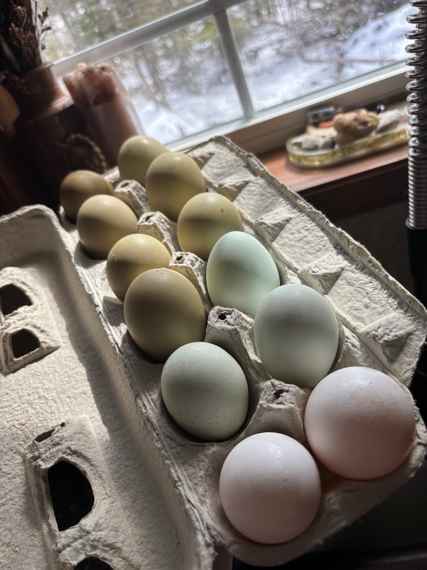 Organic Soy Free Chicken Eggs