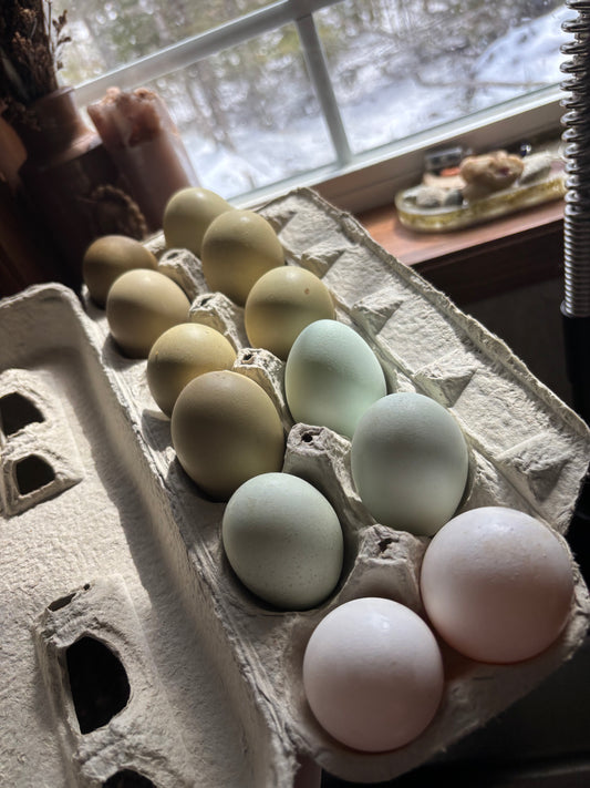 Organic Soy Free Chicken Eggs