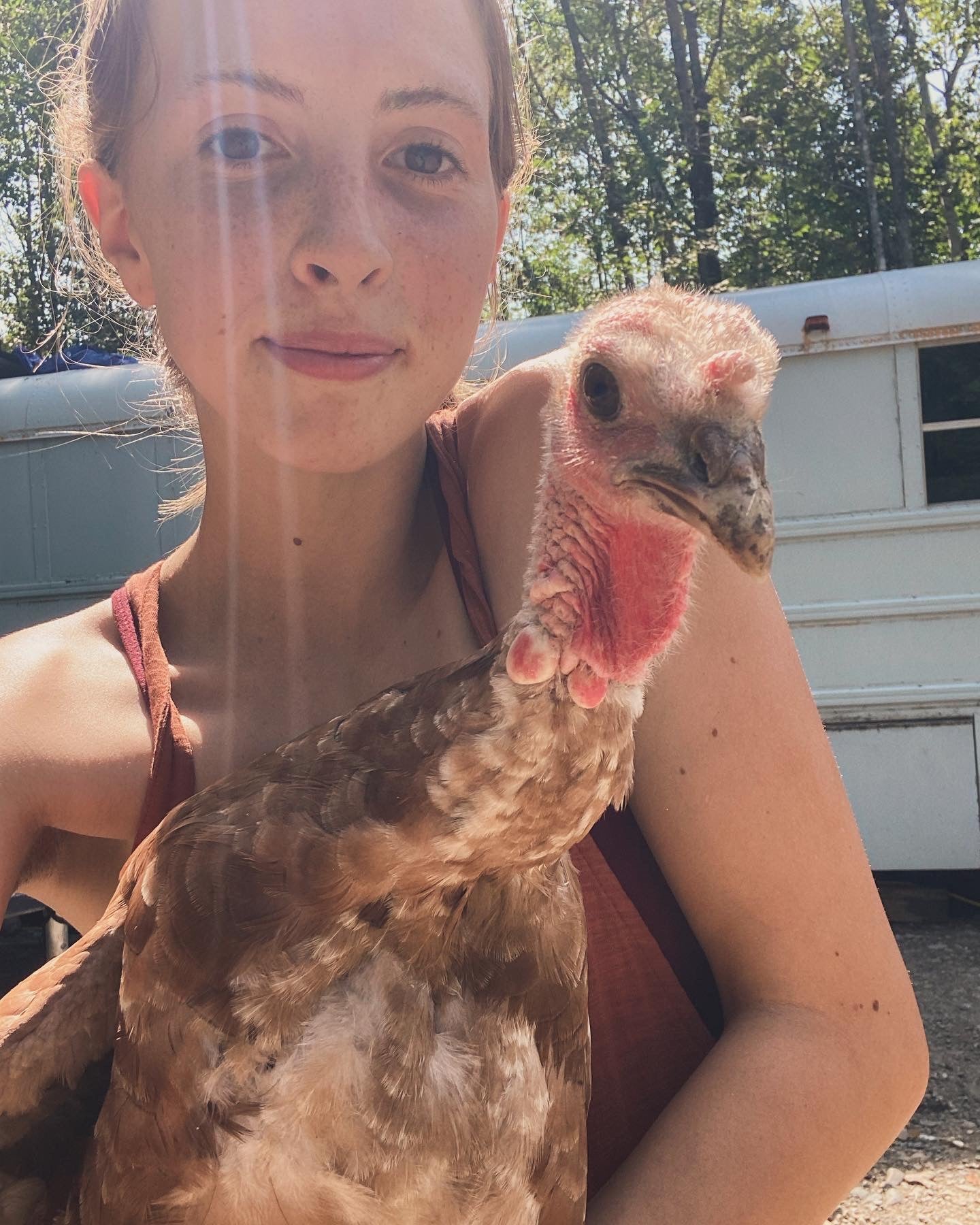 WAITLIST: Bourbon Red Turkeys Chicks *LOCAL ONLY*