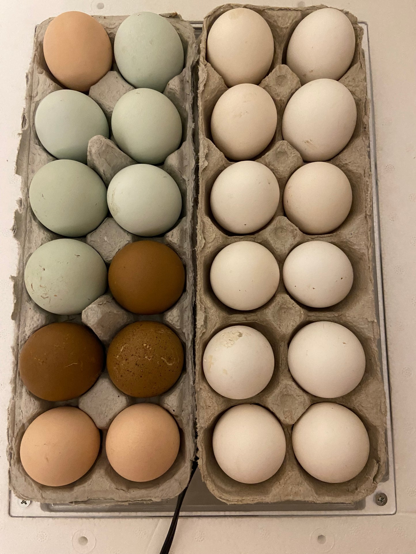 Organic Soy Free Chicken Eggs