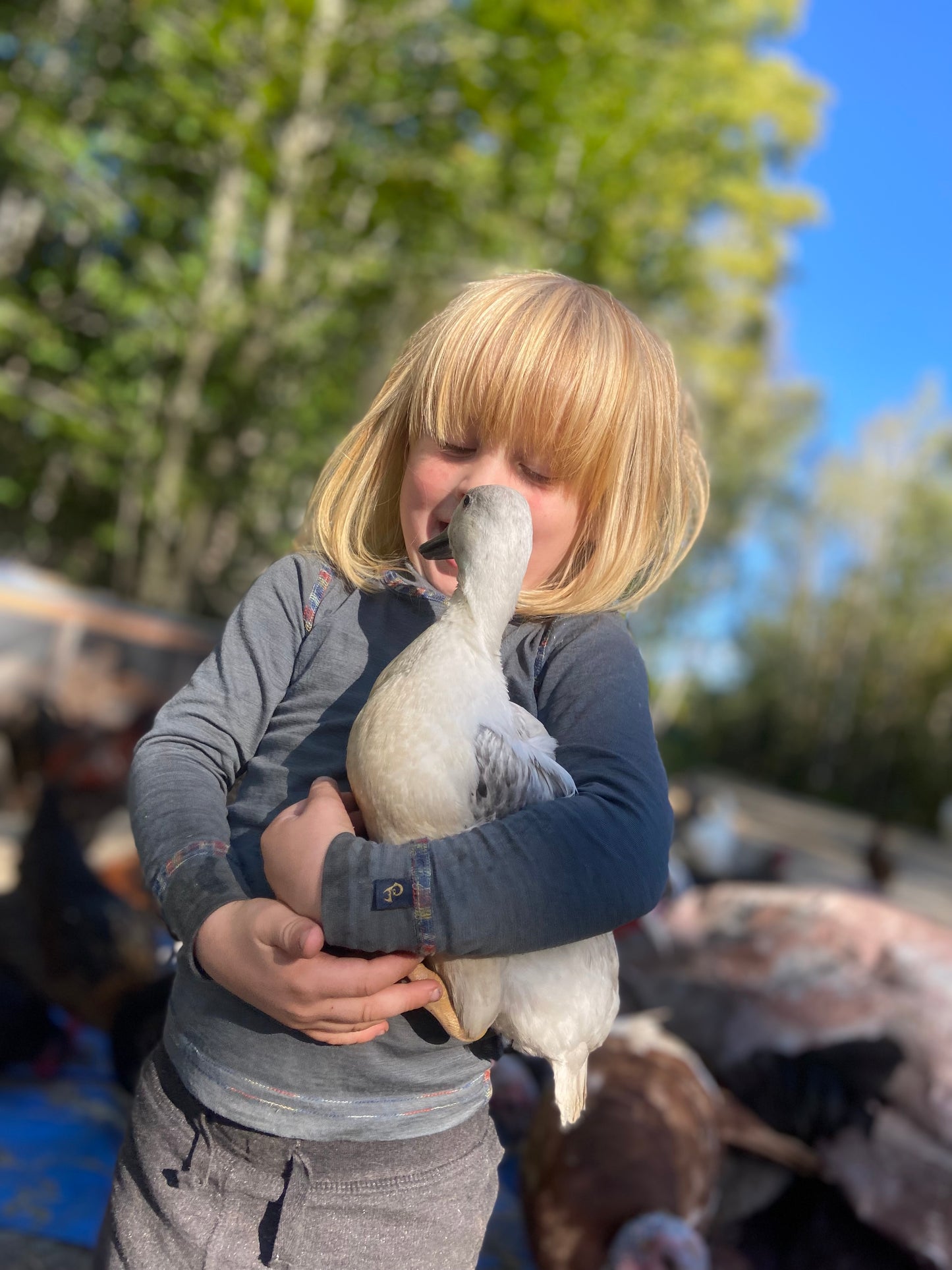 WAITLIST: Call & Runner ducks *LOCAL ONLY*