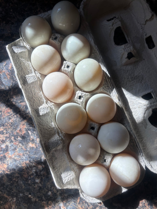 Organic Soy-Free Duck eggs