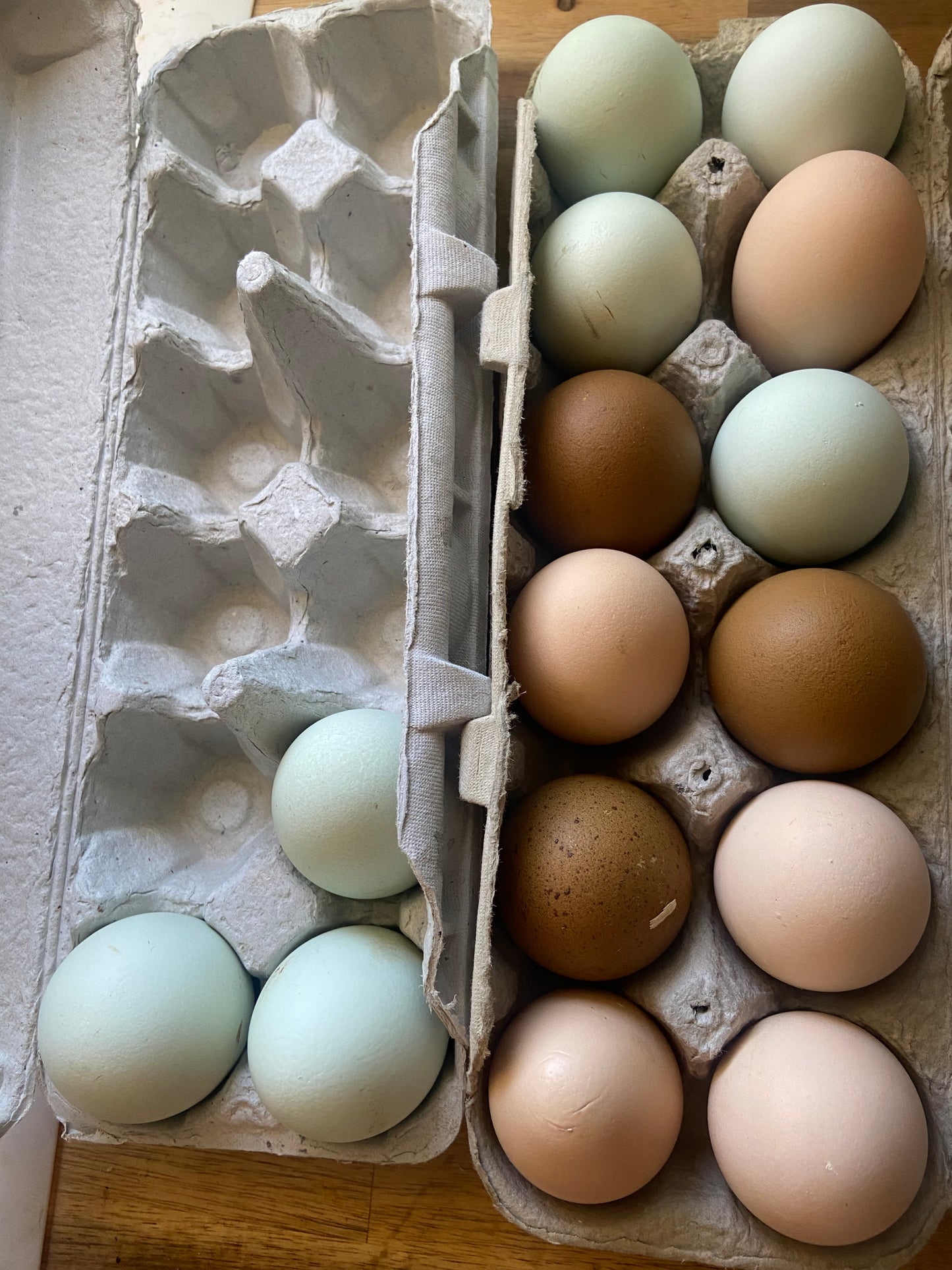 Organic Soy Free Chicken Eggs